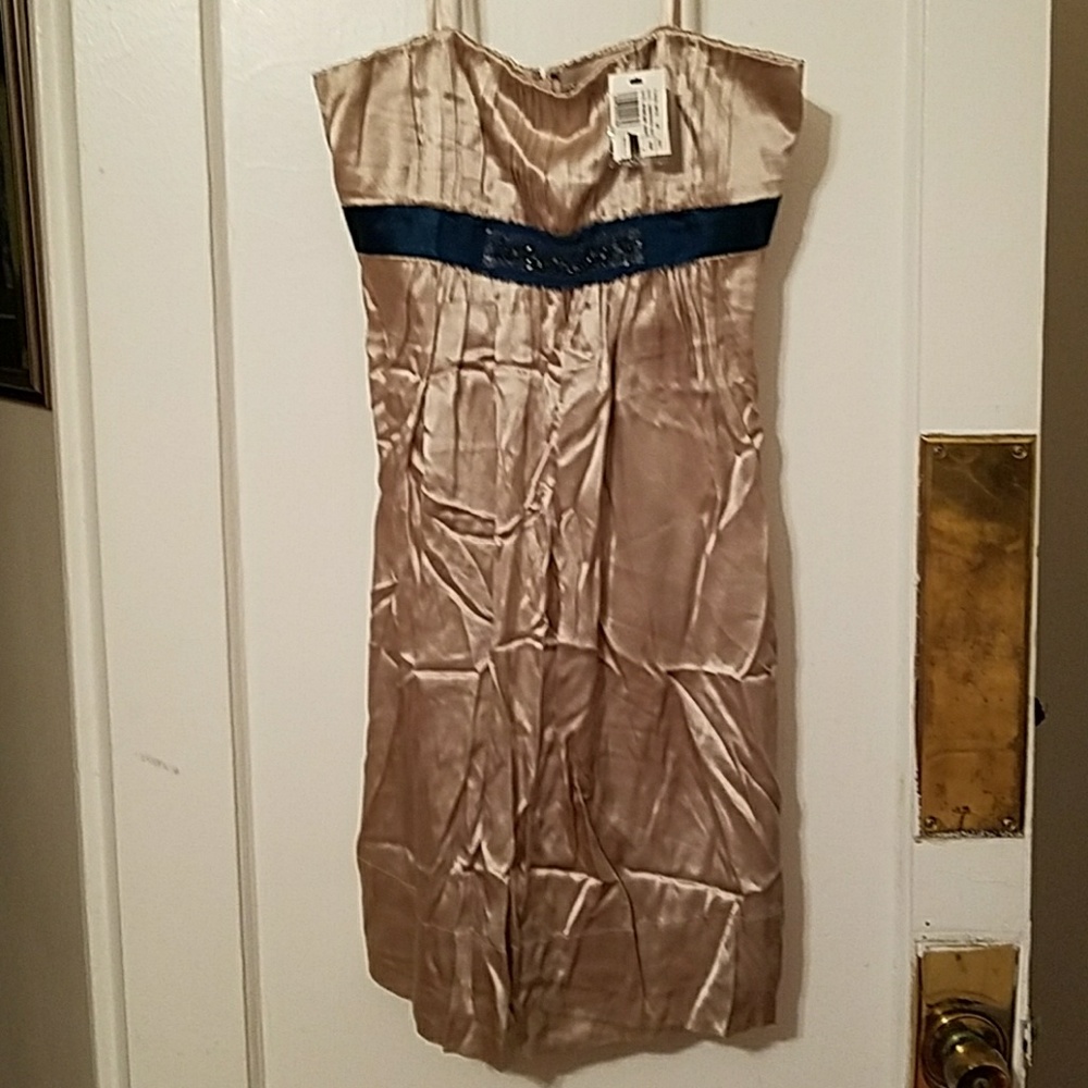 BCBGMAXAZARIA Silk Strapless Dress